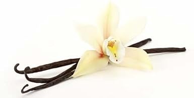 Organic Madagascar Vanilla Bean Pods - Whole Bourbon-Madagascar Beans for Baking - Cooking - Non-GMO - Kosher - Grade A - 1/2 lb (50-60 beans)