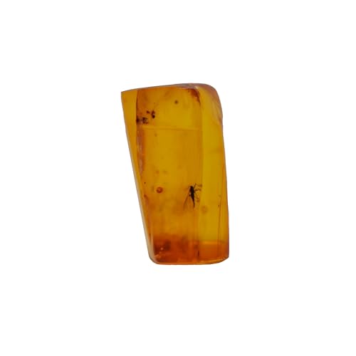 Baltic Amber with a Fly Insect Natural stone - 1.7g