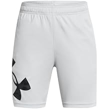 Under Armour Kids Tech Big Logo Shorts (Big Kid)