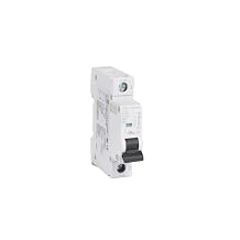 RADWELL Verified Substitute 5SY4106-7-SUB IEC 60905, IEC 60947-2, UL 1077 SUPPLEMENTARY Protector, 6A