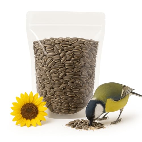 Crazy Nuts | USA Grown Raw Sunflower Seeds In Shell, 10lb | Unsalted sunflower seeds for birds and for Eating
