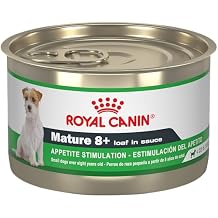 Royal Canin Canine Health Nutrition Mature 8+ Loaf in Sauce Dog Food, 5.2 oz (Pack of 24)