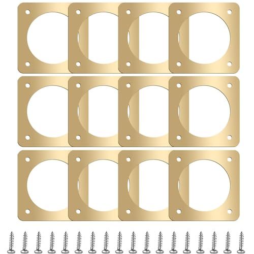 Hotop 12 Pcs 1 12 Inch Opening Bluebird Metal House Hole Guard Portal Bird House Protect Bird Room Guard Copper Portal with Opening for Eastern Bluebird Rooms Sparrow HousesGold