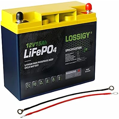 LOSSIGY 12V15AH Lifepo4 Battery Deep Cycle Lithium Iron Battery