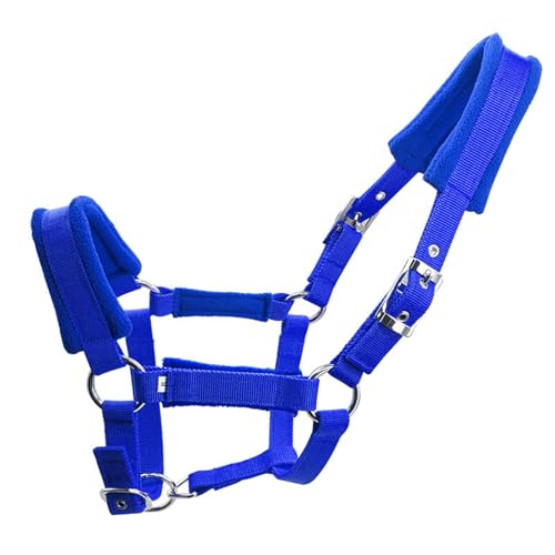Horse Halters Halters for Horses Adjustable 25mm Wide PP Webbing Metal Eye Buckle with Sponge Fleece Cushion for Horses Training Equine Tack