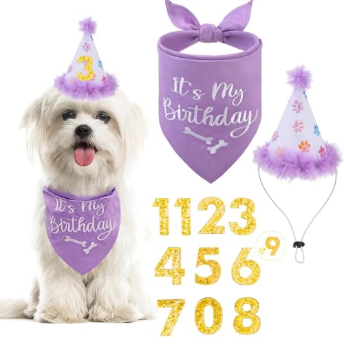 BINGPET Dog Birthday Bandana Scarf and Reusable Hat with 0-8 Figures,Cute Puppy Dog Birthday Outfit Party Supplies Gift for Small Medium Large Dogs GirlLarge