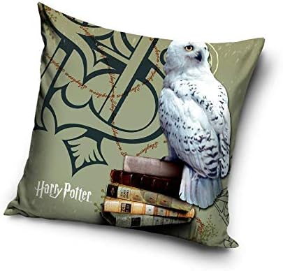 Harry Potter 203021 Cushion Cover 40 x 40 cm Grey