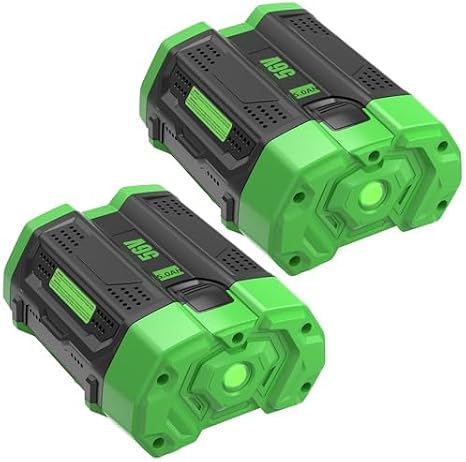 2Pack 56V 5000mAh BA2800 Battery Replacement for EGO 56V Battery