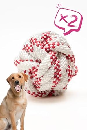 Köpek Oyuncağı 2 Adet Köpek Topu Eğitim Topu Stres İpten Top 9 cm Büyük