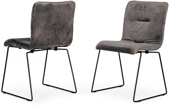 Limari Home Yannis 19.5" Modern Fabric Dining Chairs in Dark Gray (Set of 2)