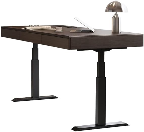 Simple Height Adjustable Electric Desk, Sit Stand Up Desk, Modern Liftable Standing PC Workstation for Home Office Writing(M)