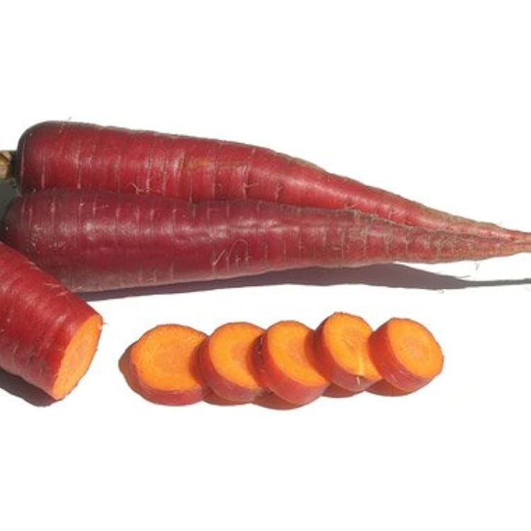 Heirloom Cosmic Purple Carrot 200Seeds