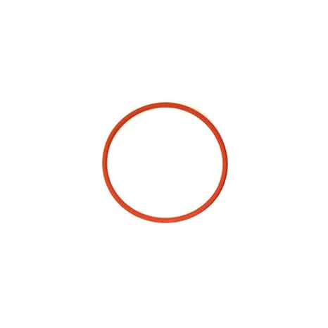 Rancilio Silvia Boiler Gasket