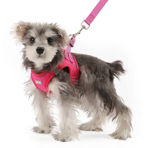 Bolux Dog Harness Small Sized and Leash Set, Step in Soft Light Puppy Vest, Breathable Mesh Pet Harness, Reflective for Safe Easy Walking.