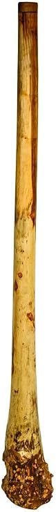 Handmade Didgeridoo Root Eucalyptus 59" length, Big bell end, tiny repair on the surface, no any affect to the sound, discounted price