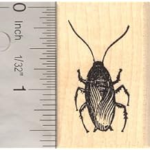 Cockroach Beetle Rubber Stamp