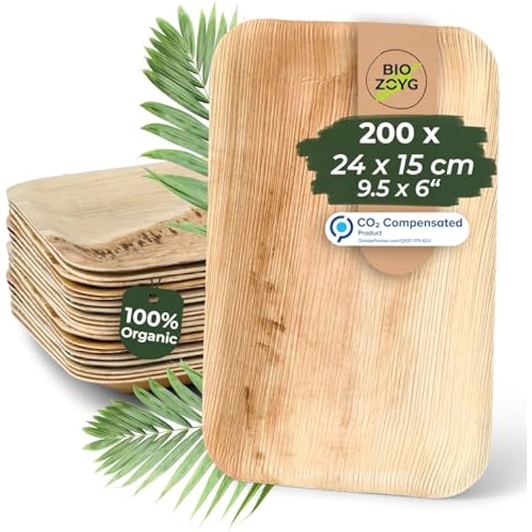 BIOZOYG Palm Leaf Plates 200 Pack 10 x 6 Inch - Disposable Palm Leaf Tableware Rectangular Compostable - Sustainable Disposable Party Tableware for Weddings and Events