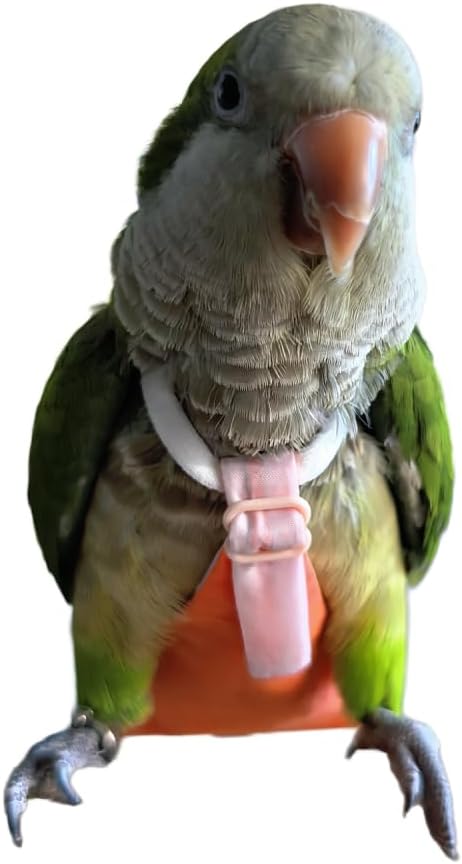 Bird Diaper Parrot Nappy Reusable Flight Suit with Waterproof Inner for Parakeet Cockatiel Mini Macaw Budgie Canary Cute Style (3XL)