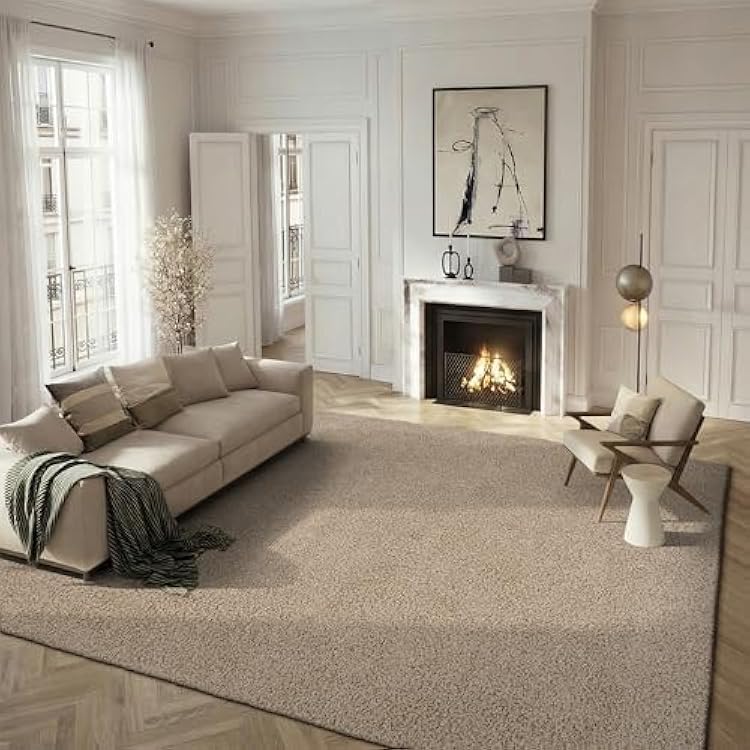 SAFAVIEH Area Rug 9x12 - Athens Shag Collection - Large - Beige, Non-Shedding & Easy to Clean, Ideal for Living Room, Bedroom, Dining Space SGA119G