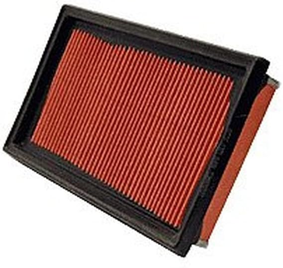 WIX 49225 Engine Air Filter Compatible with Chevrolet City Express (15-17), Nissan (07-19), Infiniti (14-19)