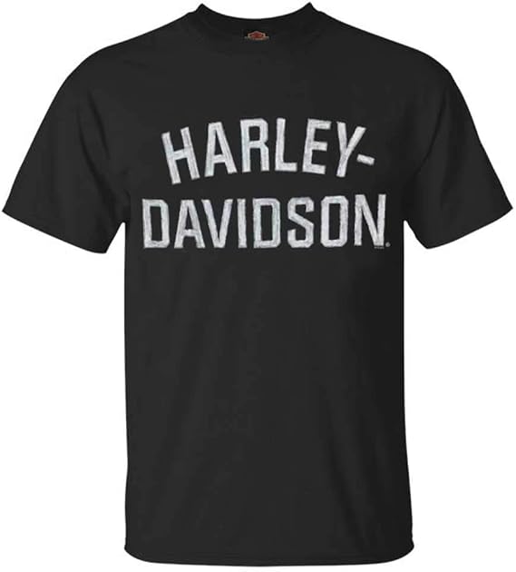 Harley-Davidson Men's 30296630 Graphic Tee (Pack of 1)