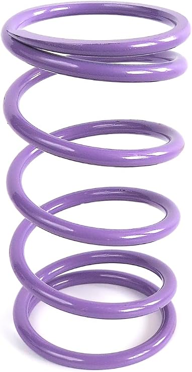 EPI Performance Secondary Clutch Spring Compatible with Cub Cadet Challenger 550/570; Kawasaki Teryx 750/800, Mule Pro-FX/FXT/FXR; Yamaha Grizzly, Kodiak, Viking, Wolverine | Purple | YDS6