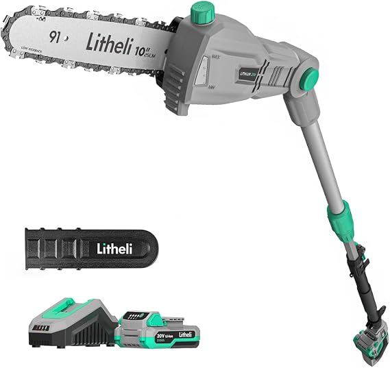 Litheli 20V Pole Chain Saw Battery Powered for Tree Trimming, 10'' Electric Cordless Pole Saw with Battery for Tree Trimming, 2.0Ah Battery&Charger, 17ft/s Cutting Speed for Branch Cutting, Trimming