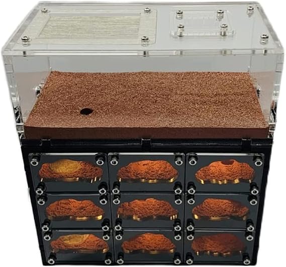 DAPERCI Ant Farm Castle Ant Castle Concrete W/USB Charging Cable Ant Farm House Clear Layered Workshop Ant Terrarium Educational Tools Gift Ant Habitat