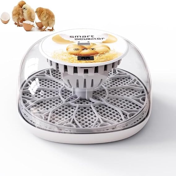 Digital Egg Incubator with Temperature Control, 12 Eggs Capacity, Automatic Turning, Water Filling System,Chicken Incubator Home Incubator for Duck Bird Goose Eggs (Gray)