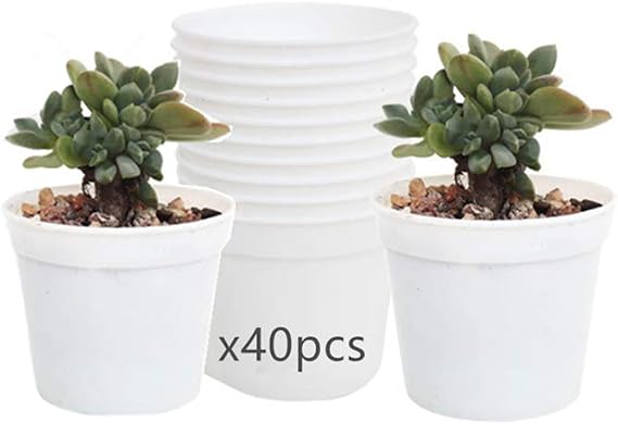 Round Succulents Plant Pots Drainage Hole, Set of 40 Mini Plant Pots 2.5" Wx2.25 H,Perfect for Plant Seeds,Seedling Nursery Transplanting Planter Container(White-40)