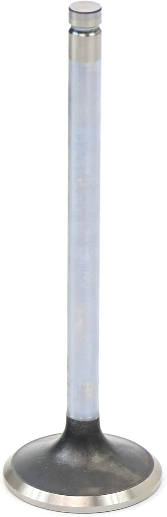 Michigan Motorsports Stock Replacement 1.550" LS Exhaust Valves -Fits Cathedral Port 243 799 706 862 317 241 853 806 Heads LS1 LS2 LS6 LQ4 LQ9 LC9 LMG LM7 (1)