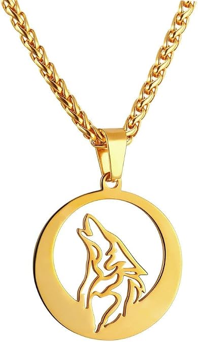 U7 Punk Chameleon/Eagle/Dragon/Hawk/Wolf Necklaces for Men Women, Retro Black Stainless Steel Animal Pendant Personalized Jewelry Gift Cool Necklace with 22 Inch Chain