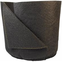 Smart Pots Soft-Sided Transplanter Plant Container, 1-Gallon, Black