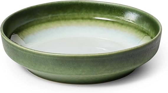 Sur la table Lucent Reactive Glaze Pasta Bowl, Green