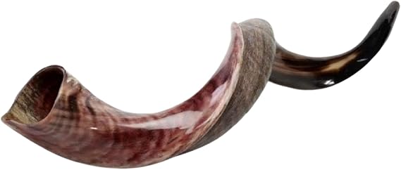 Large Yemenite Kudu Shofar (3840 inch) Authentic Kosher Shofar from Israel Handcrafted Natural Kudu Horn Shofar with Carrying Bag Shofarot Israel