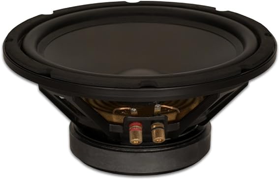 Goldwood Sound GW-10PC-4 Heavy Duty 4ohm 10" Woofer 400 Watts Replacement Speaker