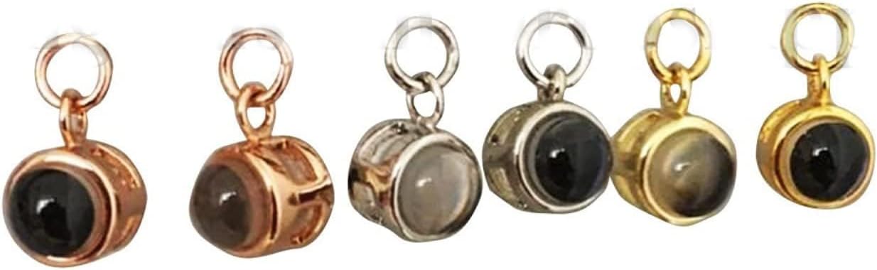 ZXH Custom Circle 925 Silver Pendant Beads Personalized Photo Projection Charm for Men,Women,Bracelet,Necklace,keychain,Personalized Jewelry, Christmas,Valentine's Day (Rose)