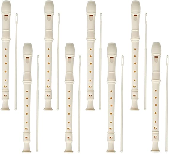 12 Pieces 8 Hole Descant Soprano Recorder for beginner, Plastic Music Recorder Instrument Music Flute with Cleaning Rod