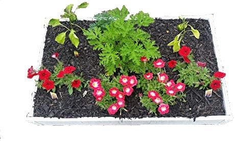 2 x 4 Stack-able, White, Vinyl, Raised Garden Bed