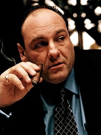 DOGNNAK Tony Soprano Portrait The Sopranos James Gandolfini 24x18 Print Poster