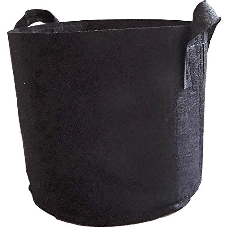 Bootstrap Farmer Grow Bags 2 Gallon Fabric Plant Pots Handles, 10 Pack