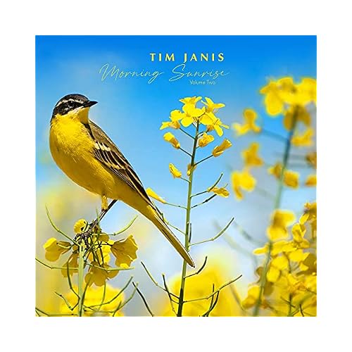 Tim Janis Morning Sunrise Volume Two Audio Traditional Hymns - Elevate Mornings with Relaxing Instrumental Hymns Soft Piano Melodies & Soothing Inspirations , Relaxation Music Songs for Stress Relief