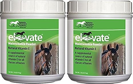 Kentucky Performance Products 2 Pack of Elevate Maintenance Power, 2 Pounds Each, Natural Vitamin E Horse Supplement