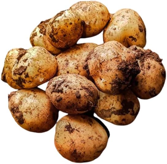 Cyprus Potatoes || 2KG || £12.99 || (1 KG)