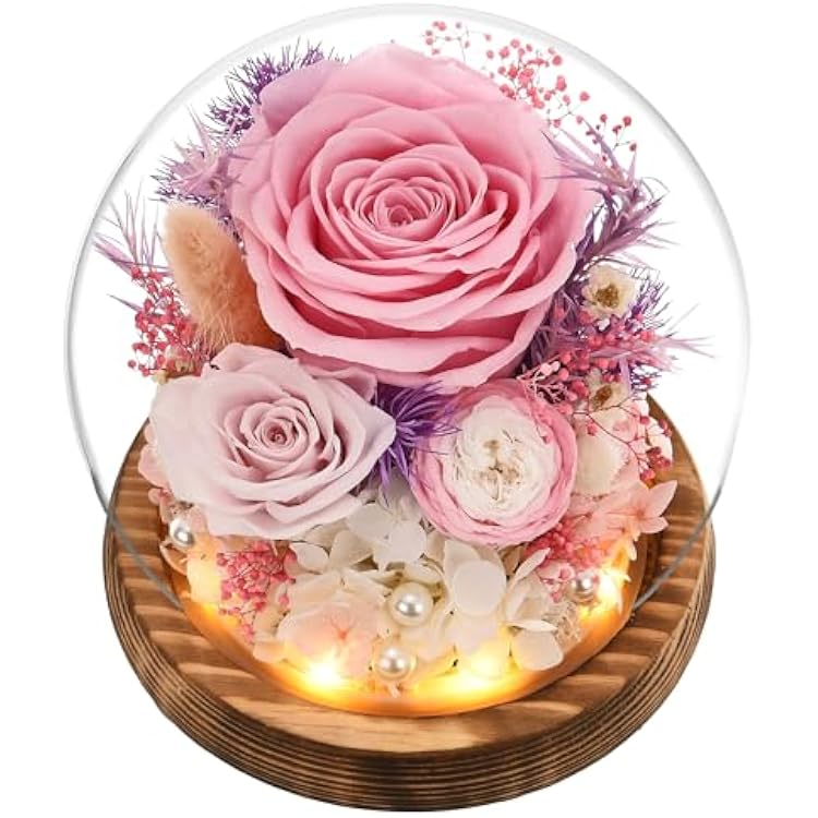 Gifts for Women Mom Grandma, Preserevd Flowers Roses in Glass Dome with LED Light, Mother Day Birthday Valentine Gifts Pink