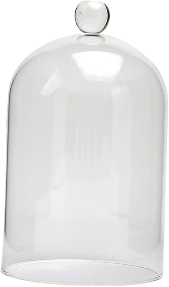 Functional And Decorative Glass Display Case Dust Cover Unique To Showcase Favorite Items Simple And Practical. Portable Eternal Flowers Lamp Cover Glass Display, Transparent, M