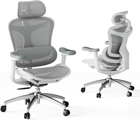 SIHOO Ergonomic Office Chair, Dynamic Lumbar Support, Grey