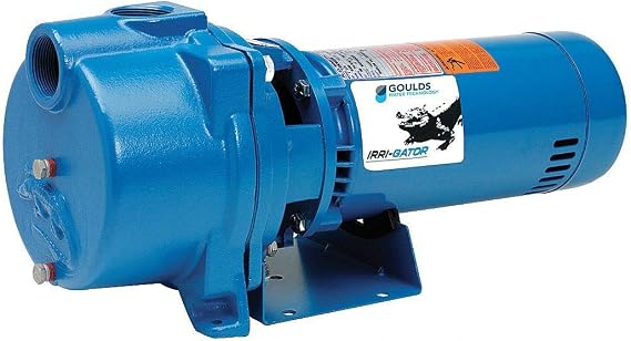 Goulds Pump Water Technology 3 HP Centrifugal Pump, 230 Voltage, 1-1/2 Inlet (In.), 1-1/2 Outlet (In.) - GT30