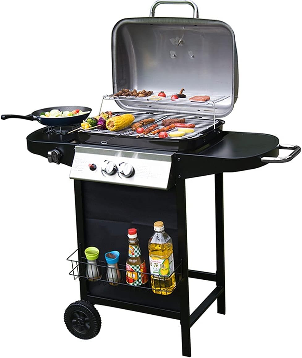 Patio Garden BBQ Gas Stove for Outdoor Cooking, Double Burner Barbecue Propane Gas Grill with Side Furnace,