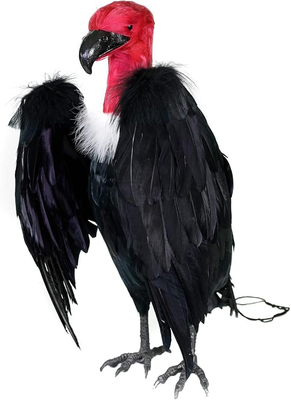BirdBusters Dead Vulture Effigy 18 inch Tall, Deters Turkey & Black Vultures / Buzzards from Roofs, Trees and Cell Towers